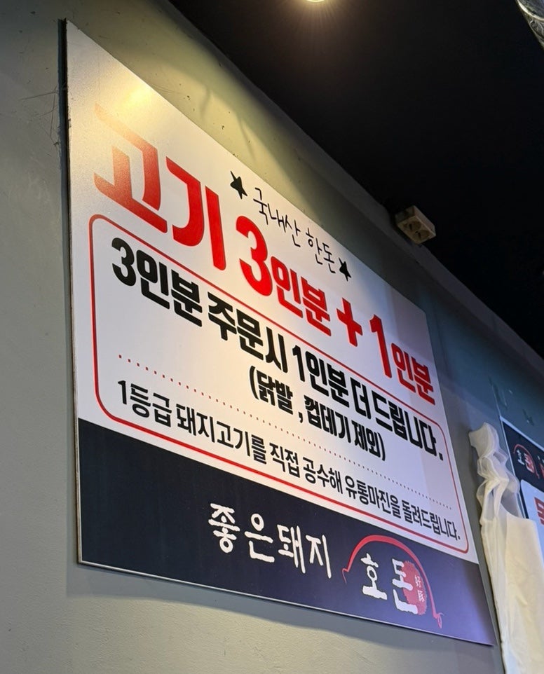 호돈 사진 5