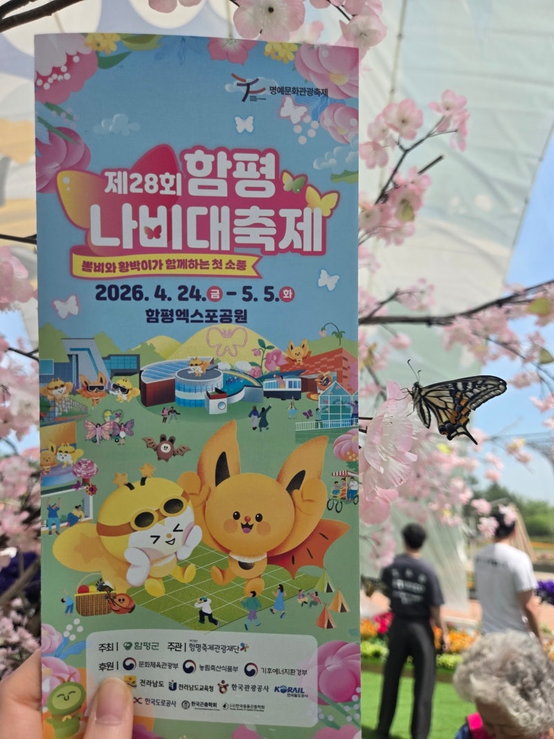 [전남 함평] 2026 제28회 함평 나비축제 개막식 리얼후기! 연인, 아이와 함께라면 무조건 가야 ....