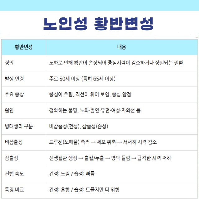 노인성 황반변성 뜻 종류 삼출성 습성 비삼출성 건성