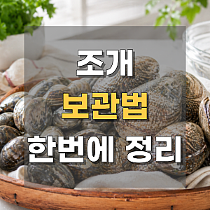 조개 보관법 백합조개 보관법해감 후 냉장보관까지 정리
