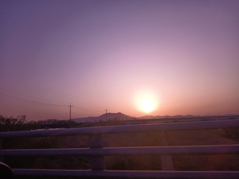 사진 7