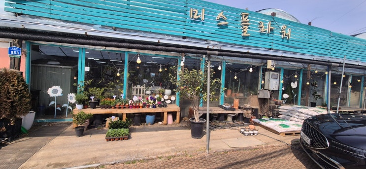  [남양주 금곡] 일상에 향기를 더하는 순간, 금곡동 '미스플라워' 방문기