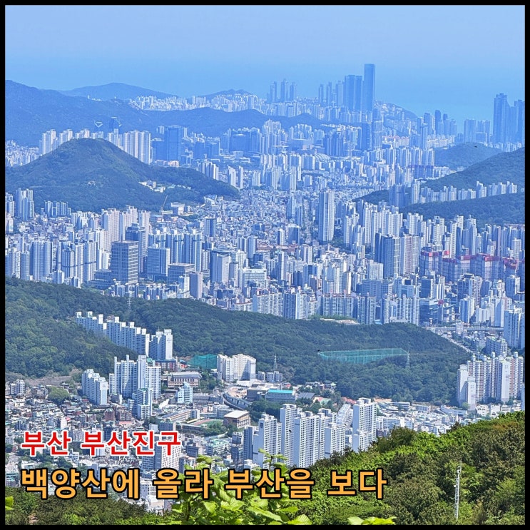  [부산] 백양산에 올라 부산을 보다