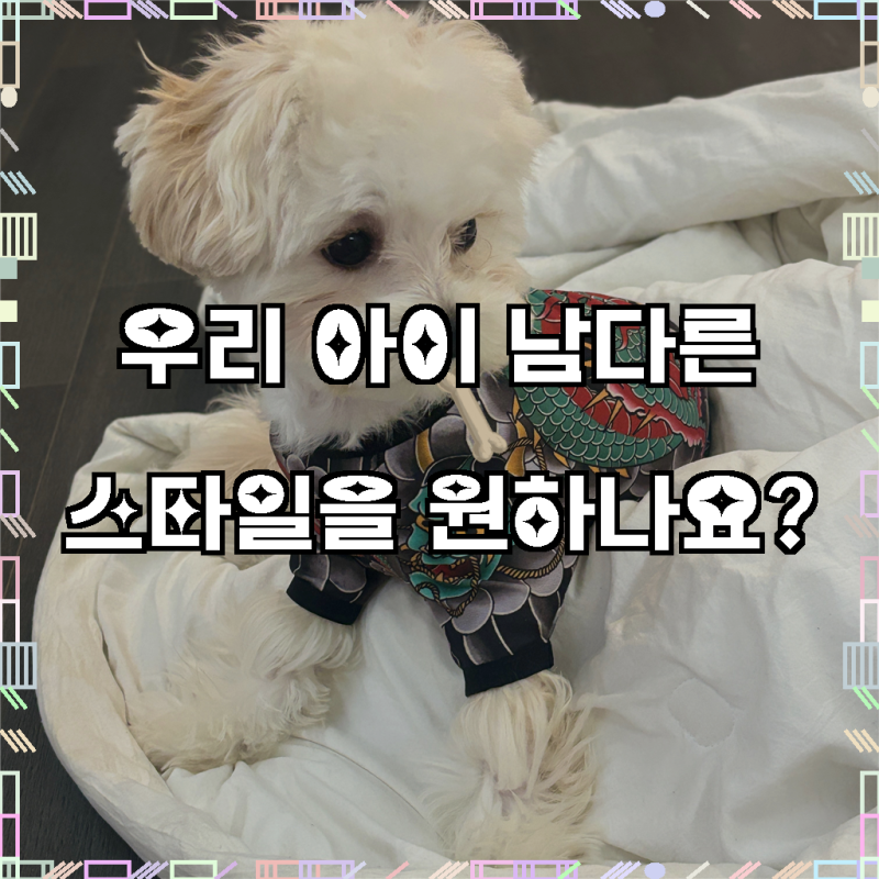 강아지 문신옷, 강아지 타투옷, 강아지 이레즈미옷, 힙스터 반려견 패피템 등극!