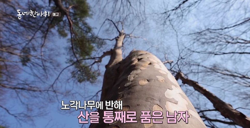 모리산 사진 4