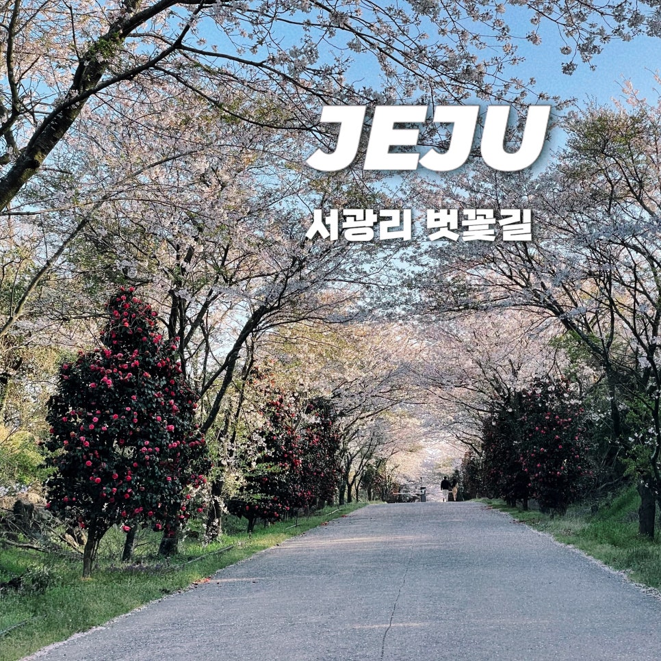 감따남 사진 1