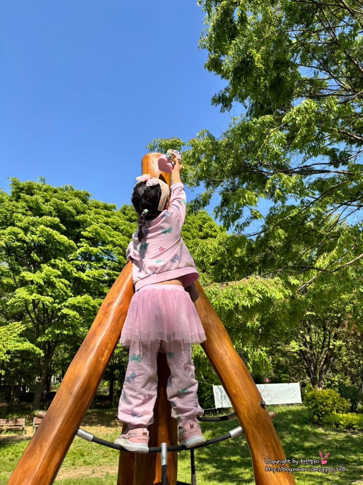사진 4