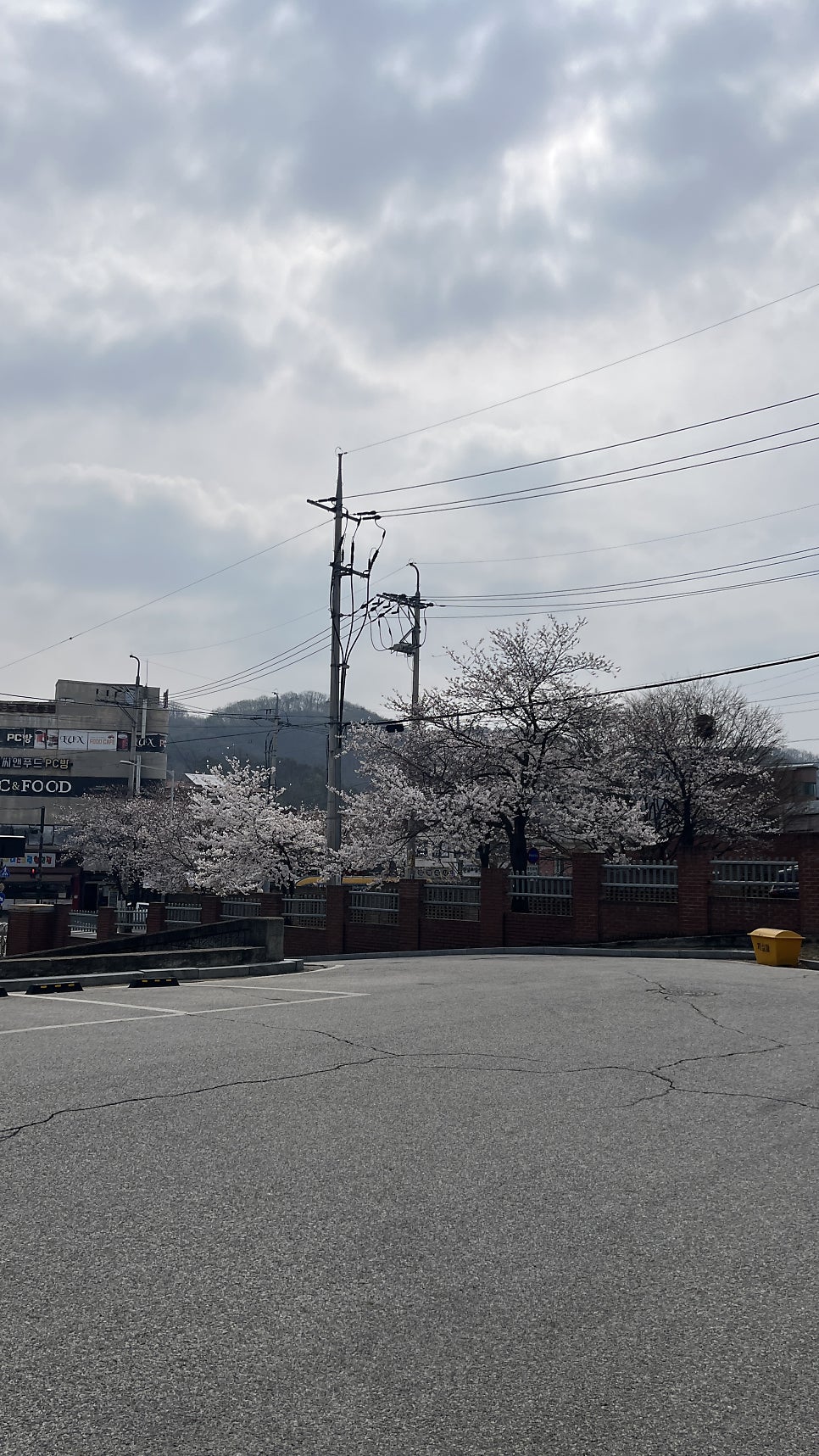 광개토제일회관 사진 1
