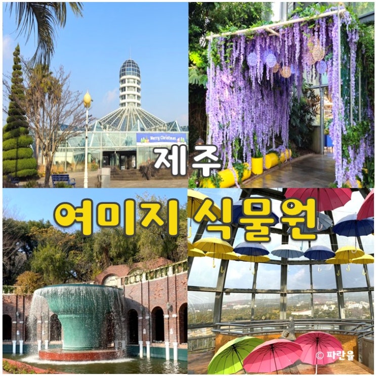 제주도 여미지 식물원 중문 가볼 만한 곳 관광지 추천