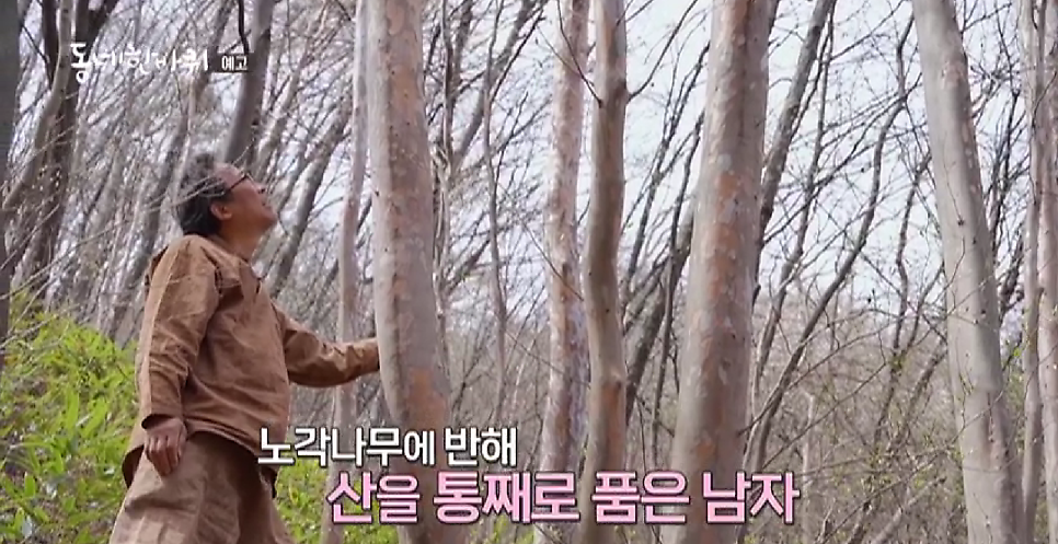 모리산 사진 3