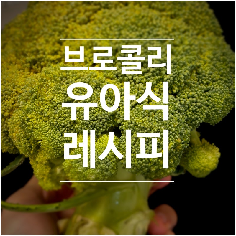 아기 브로콜리 반찬 레시피 유아식 추천 메뉴 브로콜리 세척법 (feat.오아시스마켓)