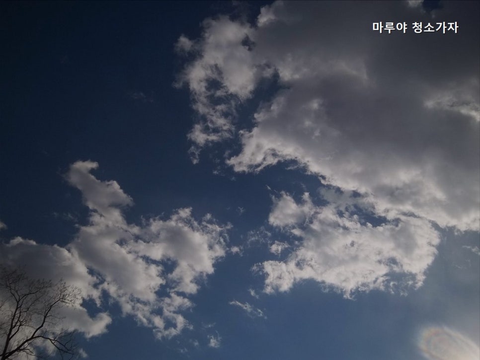 마루야청소가자 사진 2