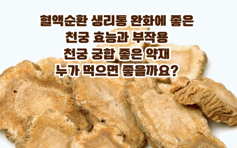 천궁 효능 혈액순환 개선 통증 완화에 천궁차 궁합 약재 누가 먹으면 좋을까요? 부작용