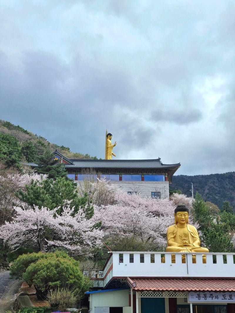 사진 6