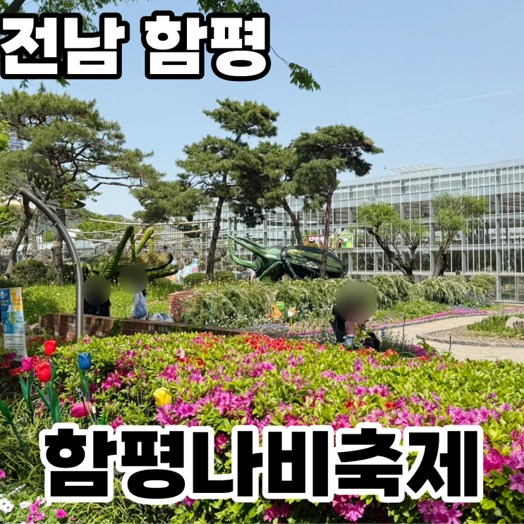  전남 함평 나비축제 2026년 4월 25일 토요일 방문후기 / 주차 / 먹거리 / 총정리