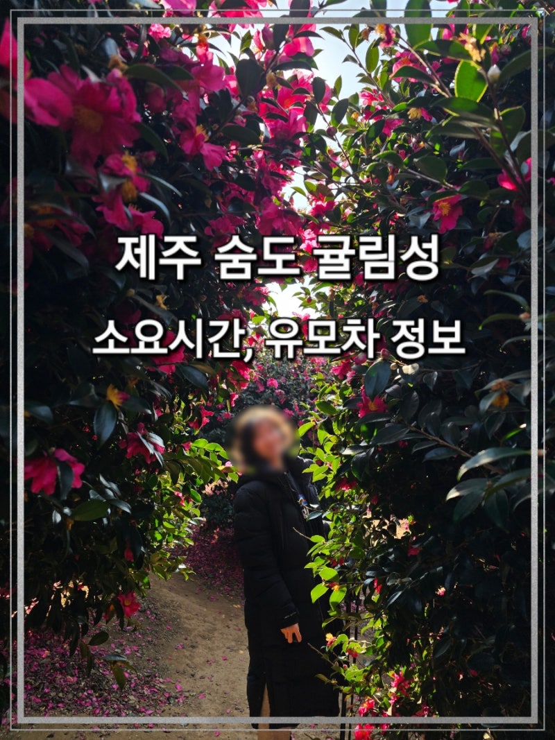 제주 한달살기｜서귀포 숨도 후기 (입장료·유모차 가능 여부·소요시간 총정리)