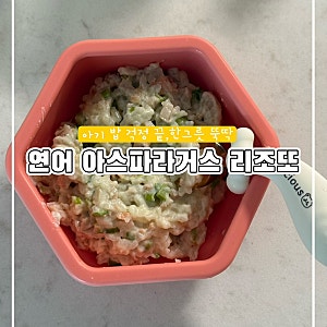 아기 연어 리조또 만들기 (돌아기 식단, 유아식 레시피 추천)