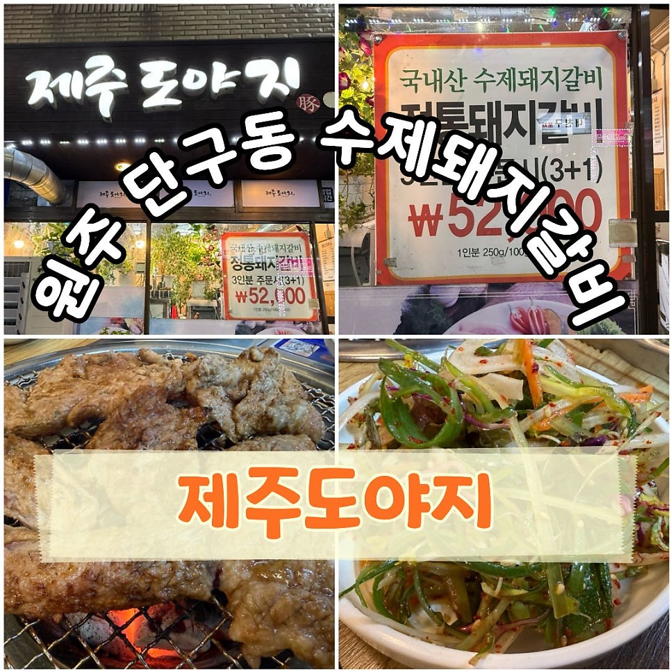제주도야지 사진 1