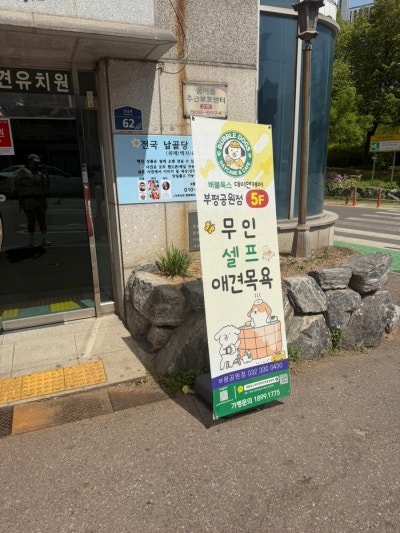 사진 2