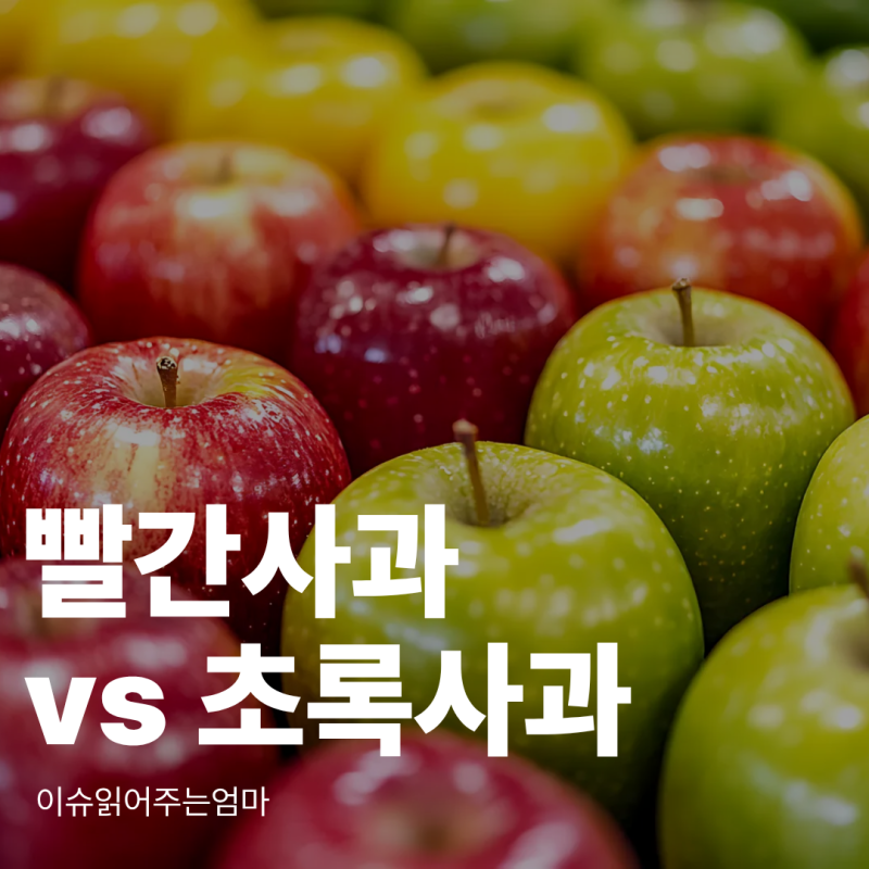 사과 색깔별 효능, 빨간 사과 vs 초록 사과 뭐가 더 좋을까?
