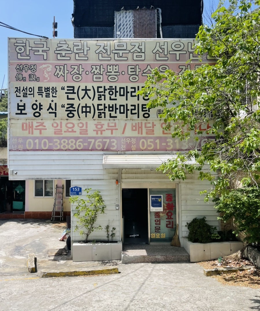 선우정 사진 1