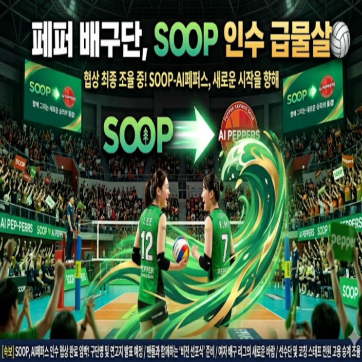 해체설 위기 페퍼의 새로운 인수 후보 등장!! 인터넷 플랫폼 SOOP 급부상!! 7개구단 유지 및 광주 연고지 유지 가능성, 그리고 SOOP 기업의 이미지 개선 등 나쁘지 않다!!