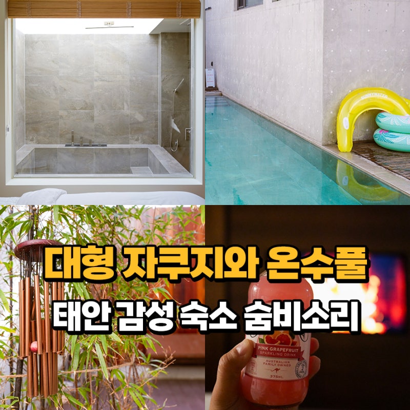 사진 5