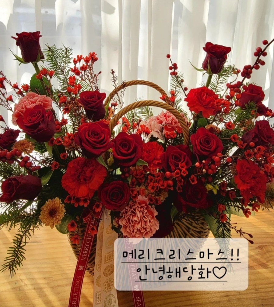 안녕 해당화 사진 6