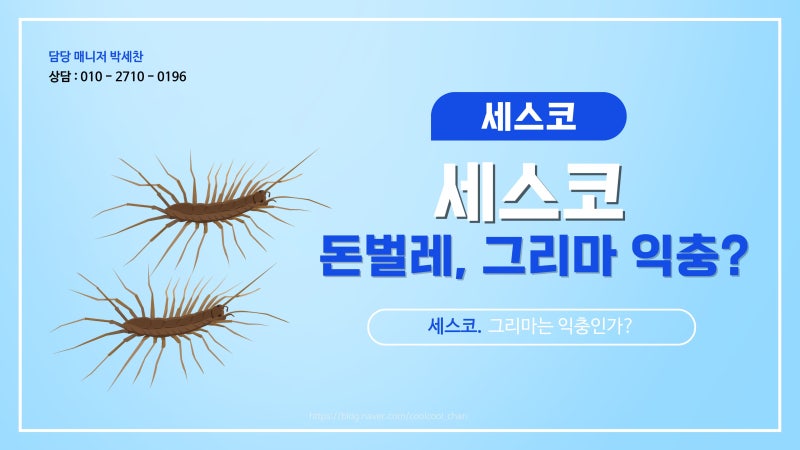 돈벌레는 익충이라던데 진짜 잡지 말아야 하나? — 그리마의 진짜 정체
