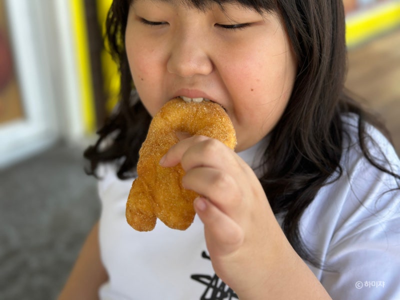사진 8