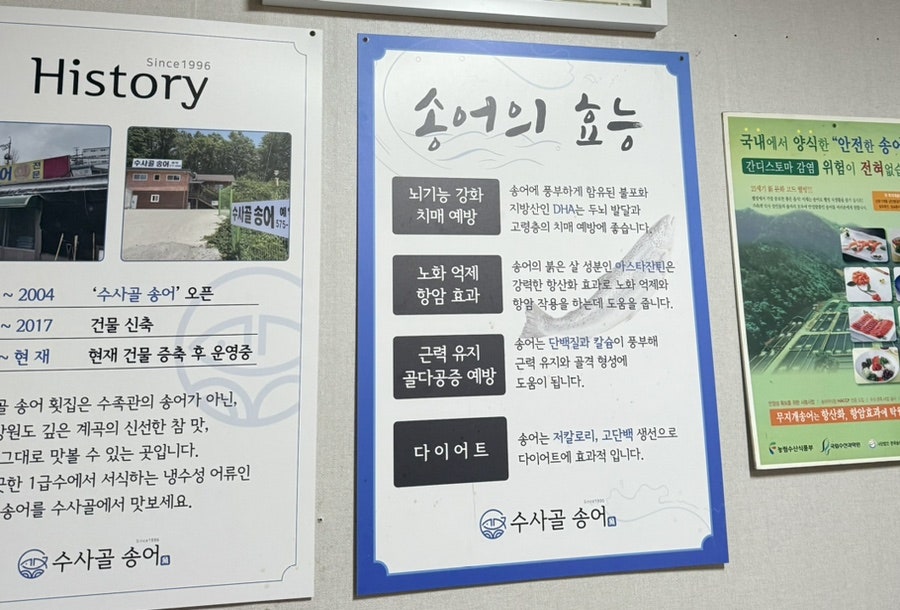 수사골송어 사진 4