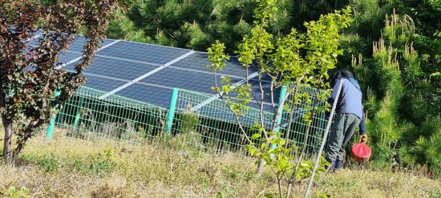 뒷동산 사진 1