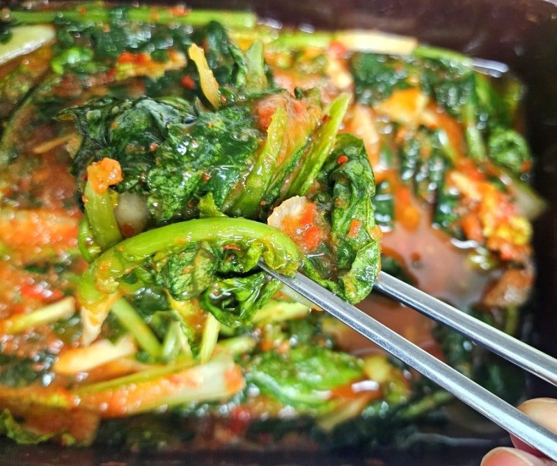 열무 얼갈이 김치용 채소 효능 보관법 (열무김치 만드는 방법 총정리)