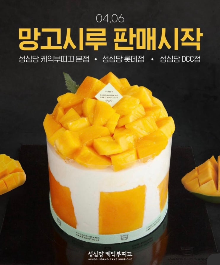  대전맛집 성심당 망고덕후라면 무조건 추천하는 망고시루 망고케이크 후기 (+임산부혜택까지)