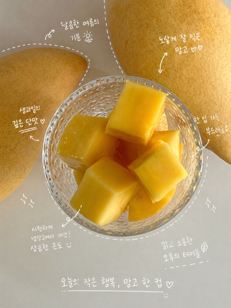 산물 골드망고 제대로 즐기는법 (망고 후숙방법&자르는법&총정리)