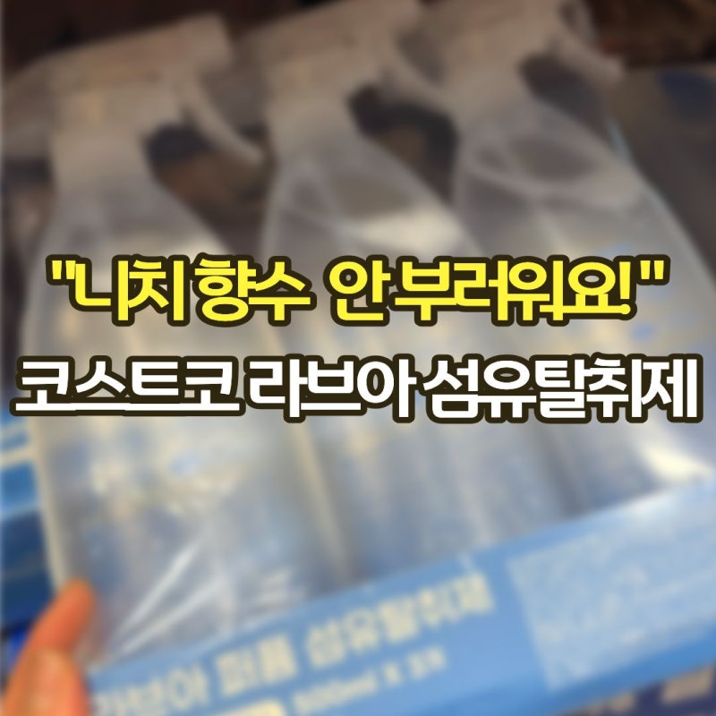 "니치향수 뿌렸어?" 코스트코 섬유탈취제 라브아 아이리스&피오니
