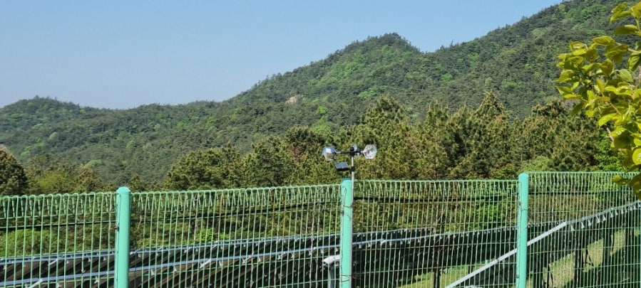 뒷동산 사진 3