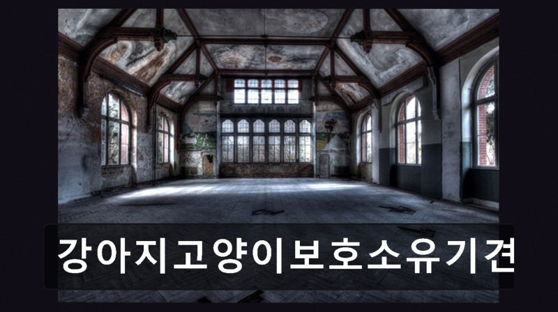 사진 5