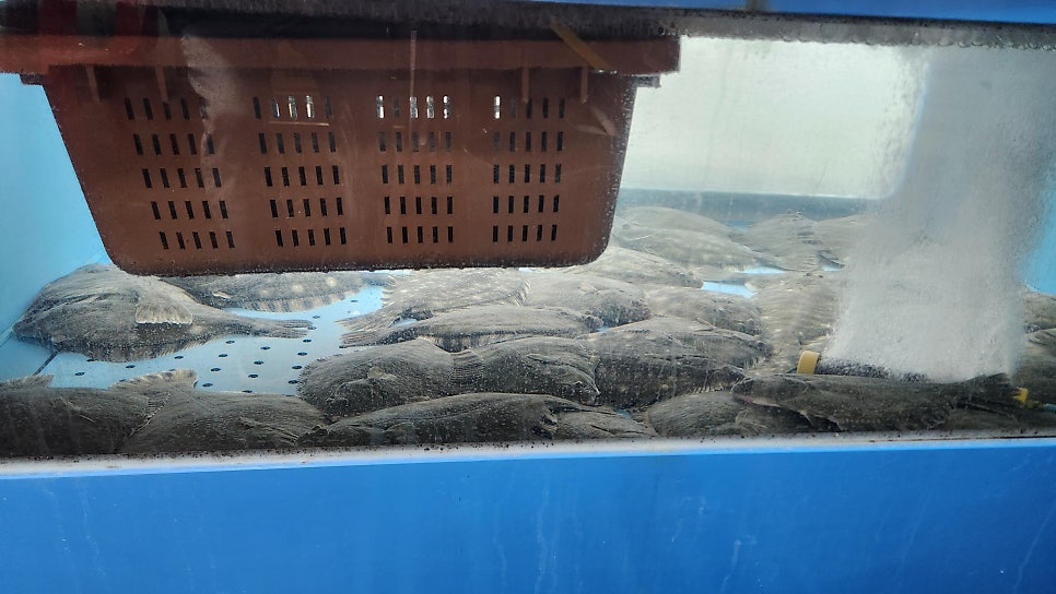 태풍수산 사진 2