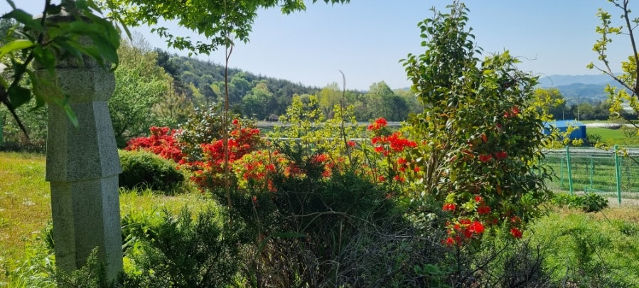 뒷동산 사진 2