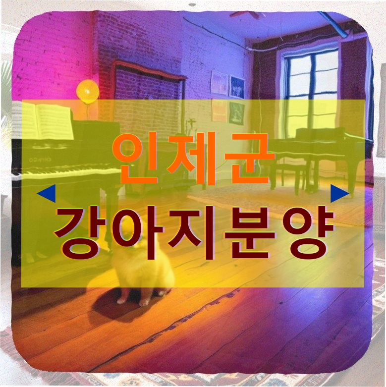 아침풍경 사진 2