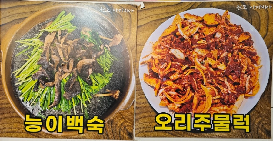 원조아카시아 사진 4