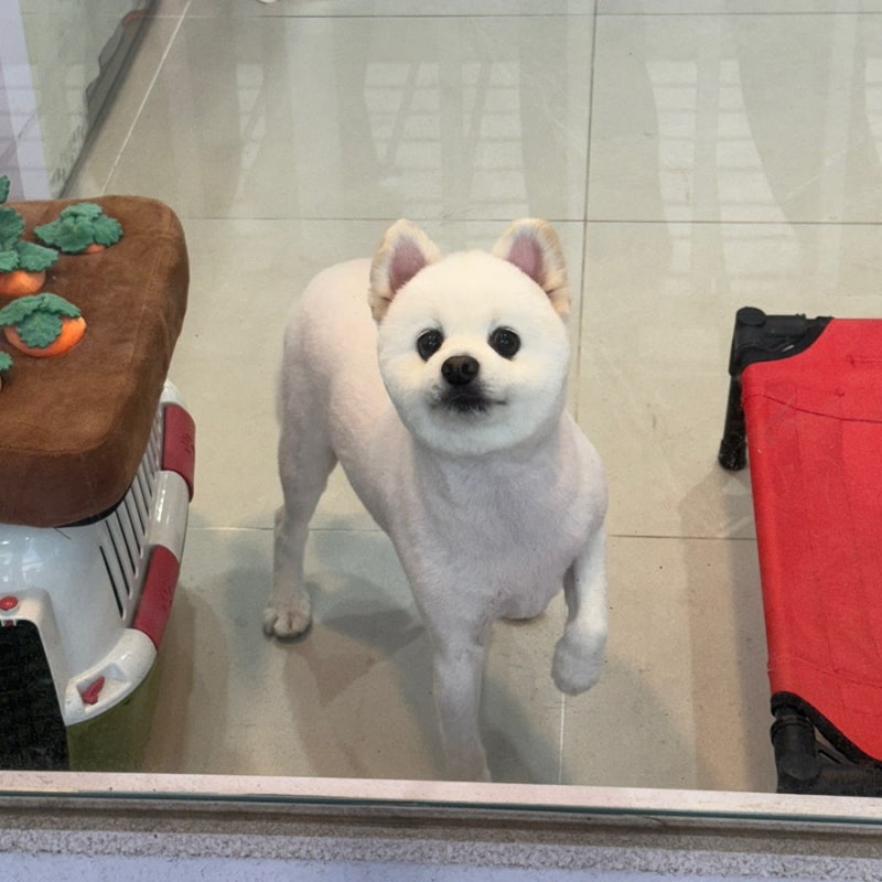 버블멍
