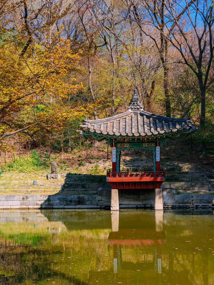  창덕궁 후원 왕실 정원 예약 없이 현장 예매한 후기(입장료, 시간표, 입구)