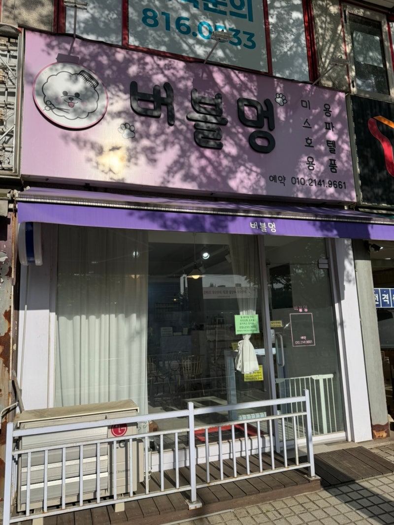 사진 2
