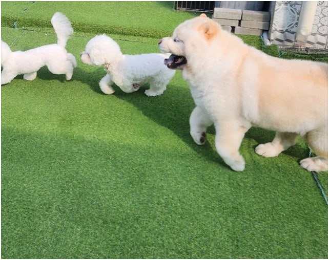 놀멍자멍