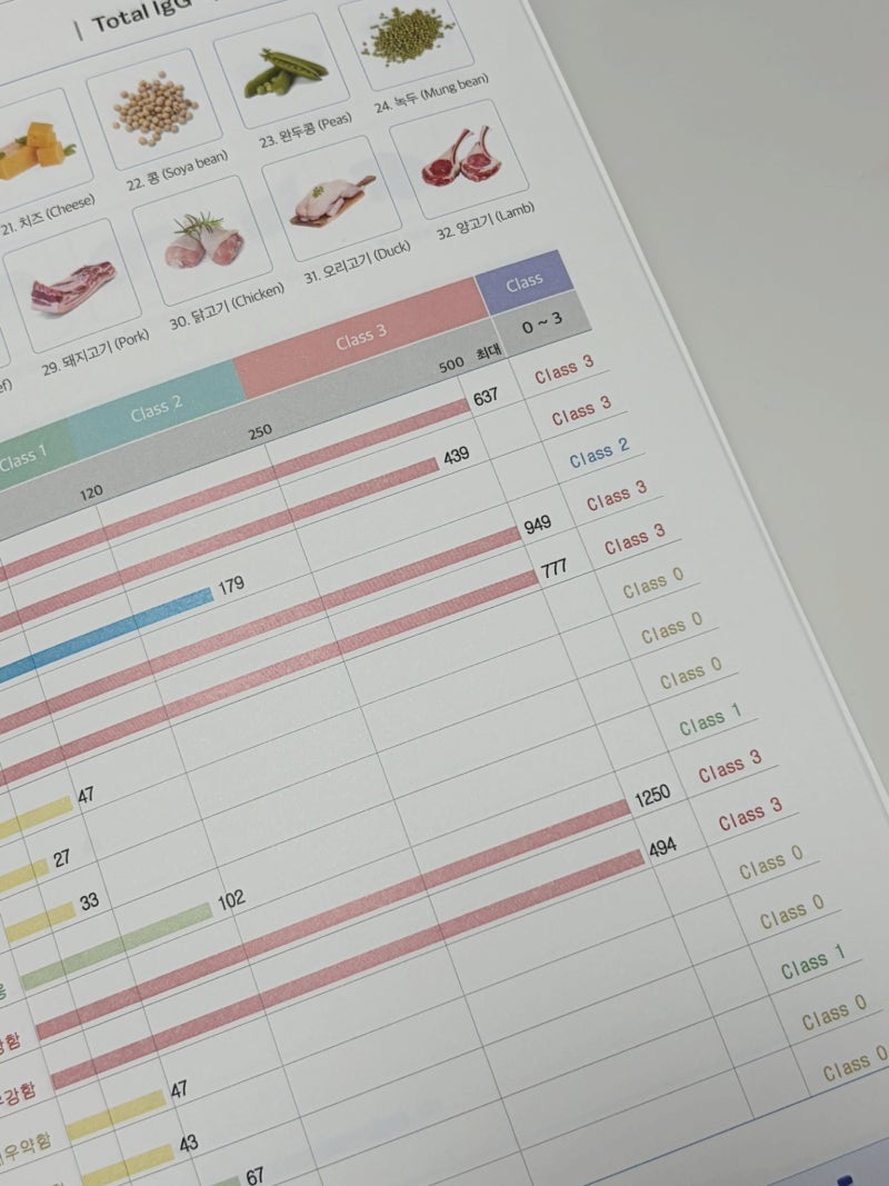 MAST검사 먼저 하는 이유, 지연성알러지 검사 전 꼭 확인하세요
