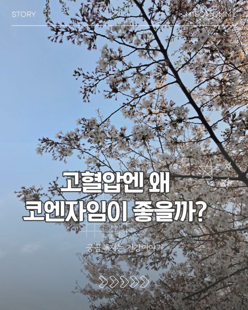 고혈압엔 왜 코엔자임이 좋을까?