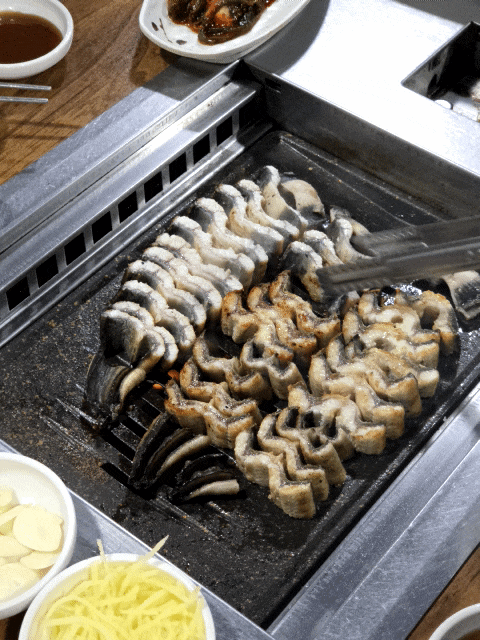  광주 장어 맛집 두암골풍천장어 3미의 부드러움에 반하고 왔어요