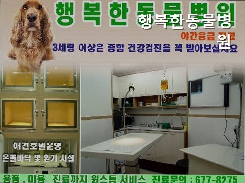 행복한동물병원 사진 3